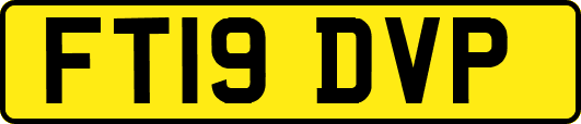 FT19DVP