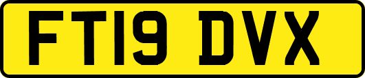 FT19DVX