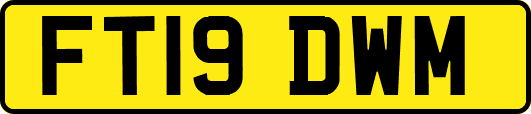 FT19DWM
