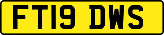 FT19DWS