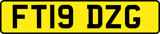FT19DZG