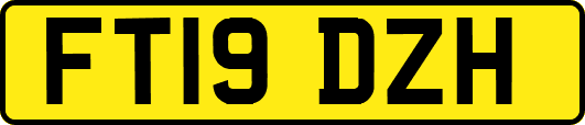 FT19DZH