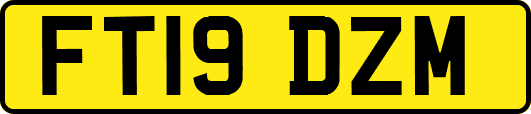 FT19DZM