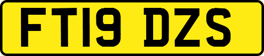 FT19DZS