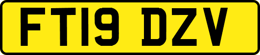 FT19DZV