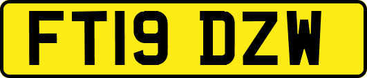 FT19DZW