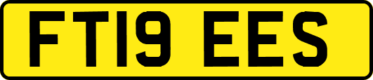 FT19EES