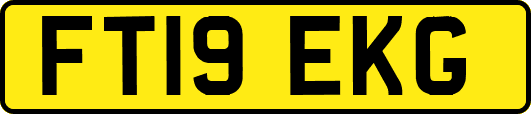 FT19EKG