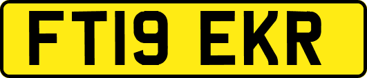 FT19EKR