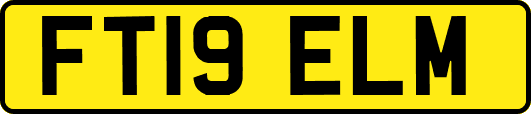 FT19ELM