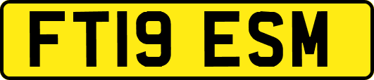FT19ESM