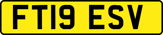 FT19ESV