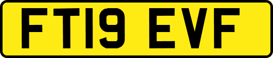 FT19EVF