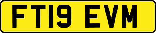 FT19EVM