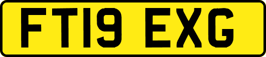 FT19EXG