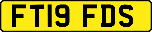 FT19FDS
