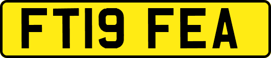 FT19FEA