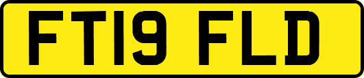 FT19FLD