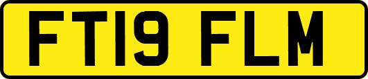 FT19FLM