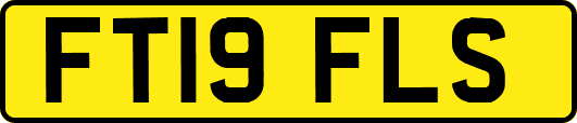 FT19FLS