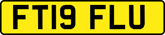 FT19FLU