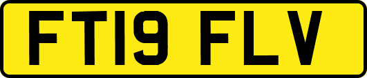 FT19FLV