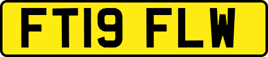 FT19FLW