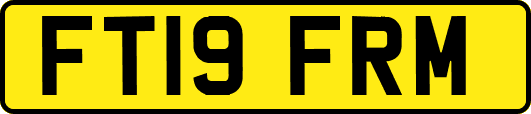 FT19FRM