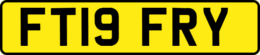 FT19FRY