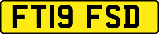 FT19FSD
