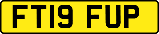 FT19FUP