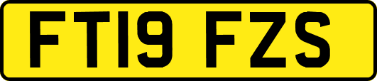 FT19FZS