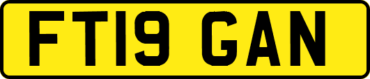 FT19GAN