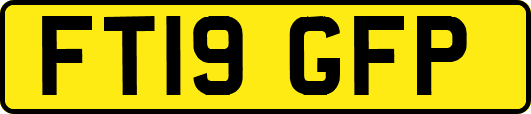 FT19GFP