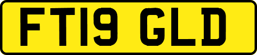 FT19GLD