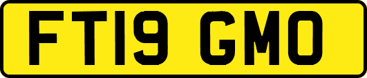 FT19GMO