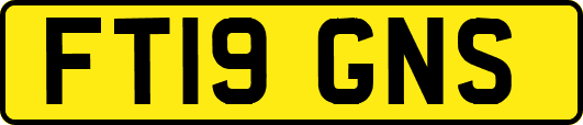 FT19GNS