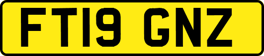 FT19GNZ