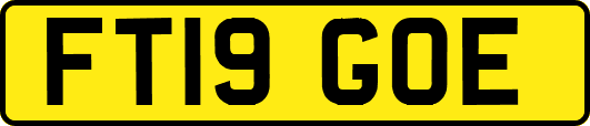 FT19GOE