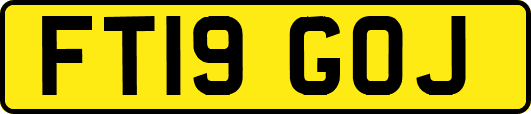 FT19GOJ