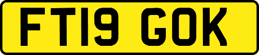 FT19GOK
