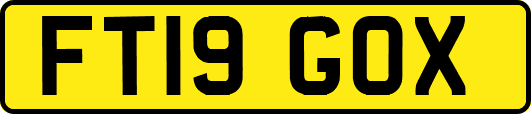 FT19GOX