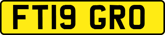 FT19GRO