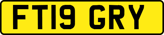 FT19GRY