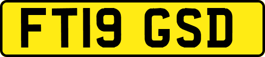 FT19GSD