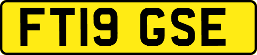 FT19GSE
