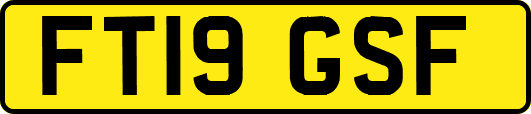 FT19GSF