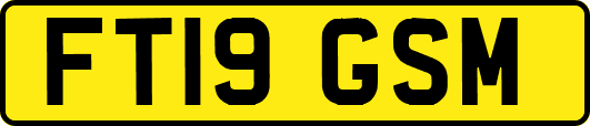 FT19GSM