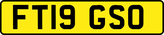 FT19GSO