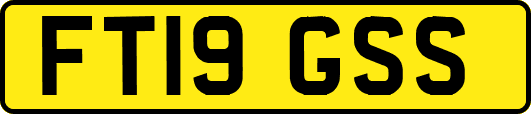 FT19GSS